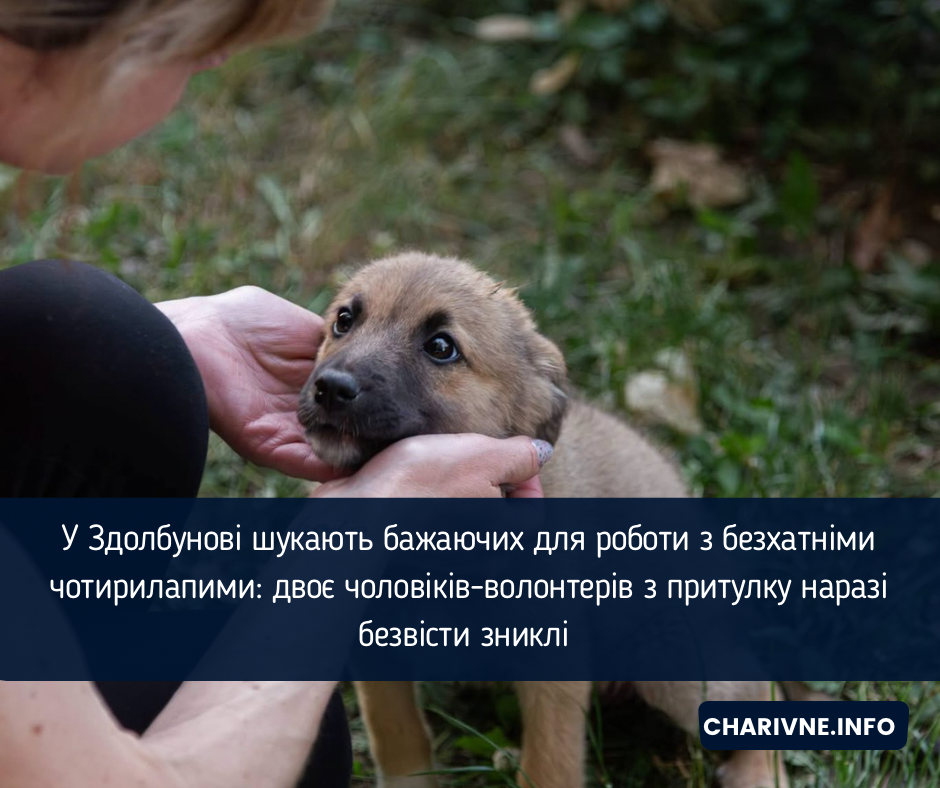 Фото ілюстративне